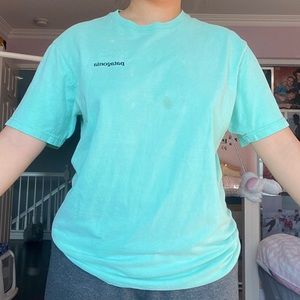teal Patagonia t-shirt